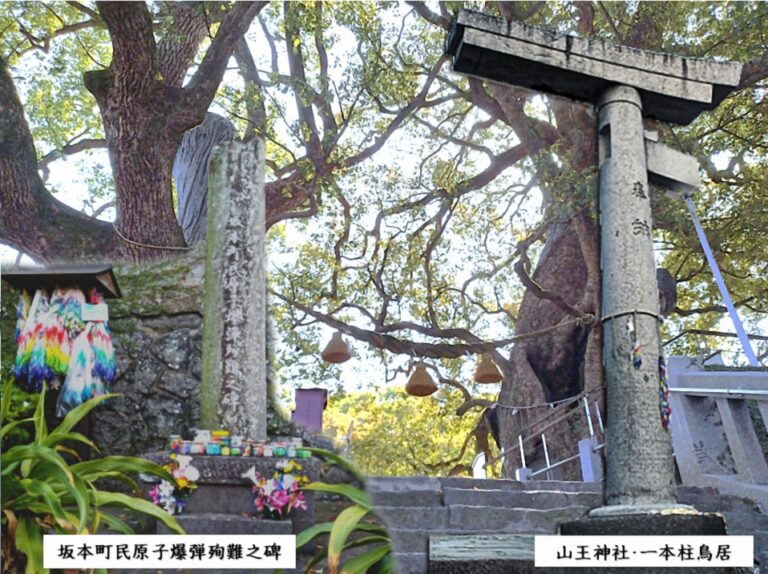 被爆80周年記念 [8月9日限定・被爆クスノキと山王神社原爆犠牲者慰霊祭さるく] | 長崎さるく「ながさき」を歩こう！長崎のまち歩き観光